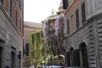 Spaziergang durch die Altstadt...