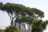 Führung in den Vatikanischen Gärten