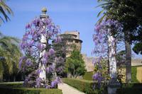 Führung in den Vatikanischen Gärten