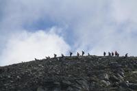 Abstieg der Gipfelstürmer