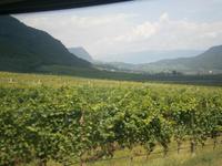 Südtiroler Weinstraße