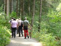 Wanderung zur Gilfenklamm