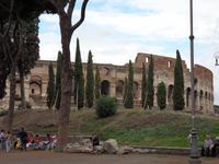 Wie die Bäume gerade nach oben wachsen ;)