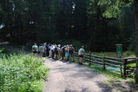 auf dem Weg zur Leadneralm