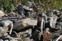 am Meraner Höhenweg