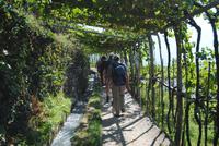 Auf dem Tappeinerweg 