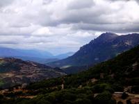 DSCI1162 Gebirge der Barbargia