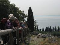 Eine Reihe Genießer