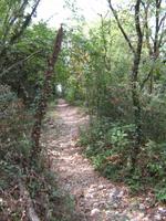 Wanderweg auf dem Monte Luppia