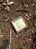 Regionalpark Monti Lattari