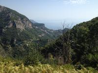 Blick ins Mühlental