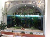 im Restaurant in Pogerola