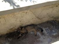 eine kleine Pause gefällig? :)