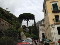 Wanderung in das Mühlental