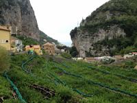 Wanderung in das Mühlental