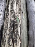 Wanderung in das Mühlental