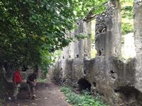 Wanderung in das Mühlental