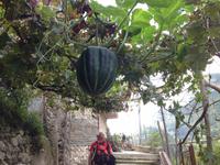 Wanderung durch das Mühlental nach Ravello