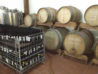 in der Cantina del Vesuvio zum Mittagessen