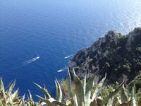 auf der Insel Capri