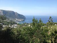 auf der Insel Capri