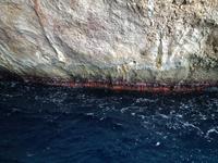 Inselrundfahrt Capri