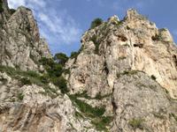 Inselrundfahrt Capri