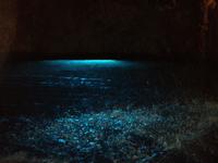 in der Grotta Smeralda