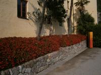 Szene vom Botanischen Garten