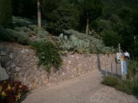 Botanischer Garten, Entlang der Spazierwege immer wieder herrlich gestalteteAnlagen