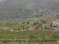 im Chianti-Gebiet