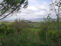 Umgebung des Weinguts Montaioncino bei Empoli