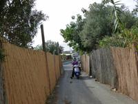 Reiseleiter Alberto kommt