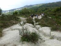 Wassersteine unterhalb des Epomeo