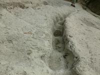 Wassersteine unterhalb des Epomeo