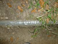 Hinweis am Waldboden