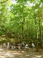 Rast unter den Kastanienbäumen