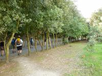 ein letztes Stück noch laufen...