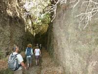 durch Minischluchten