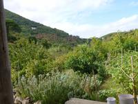 Cantina eigener Anbau 