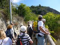 Da hinauf soll es gehen