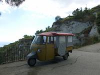 vom Aussterben bedroht