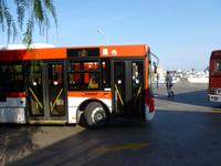 mit Linie 2 von Citara nach Ischia Porto