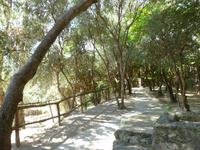 im Castello Aragonese