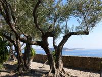 im Castello Aragonese