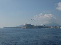 Procida, Vivara und Ischia