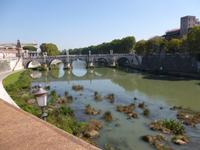 Der Tiber