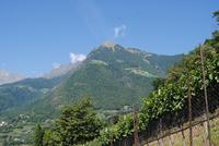 Blick vom Tappeinerweg nach Hochmuth