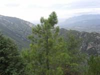 Aussicht vom Bergdorf