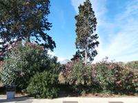 Blütenpracht unterwegs